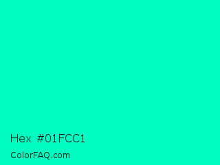 Hex #01fcc1 Color Image
