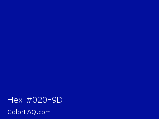 Hex #020f9d Color Image