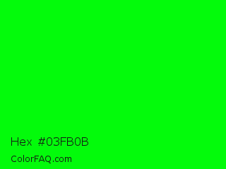 Hex #03fb0b Color Image