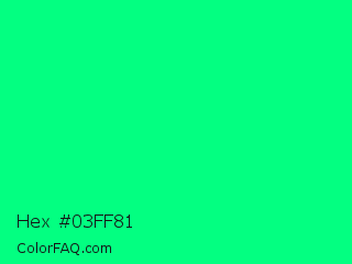 Hex #03ff81 Color Image