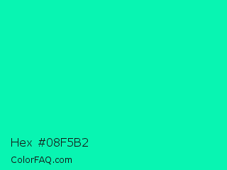 Hex #08f5b2 Color Image