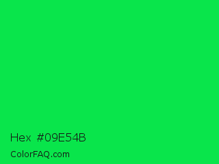 Hex #09e54b Color Image