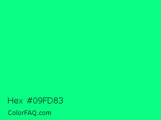 Hex #09fd83 Color Image