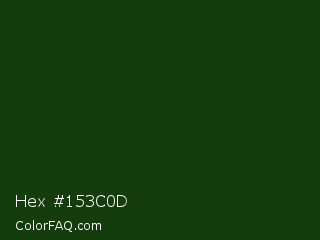 Hex #153c0d Color Image