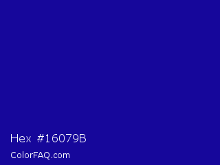 Hex #16079b Color Image