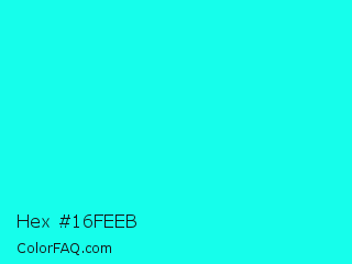 Hex #16feeb Color Image
