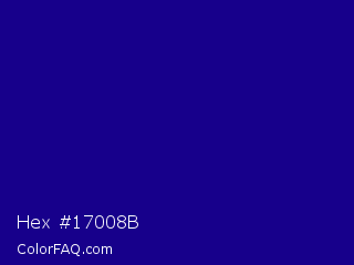 Hex #17008b Color Image