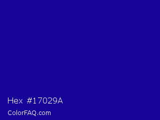 Hex #17029a Color Image