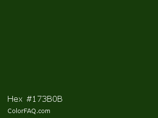 Hex #173b0b Color Image