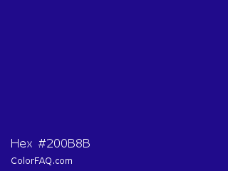 Hex #200b8b Color Image
