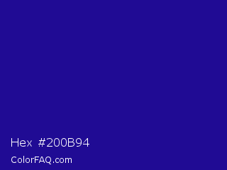 Hex #200b94 Color Image
