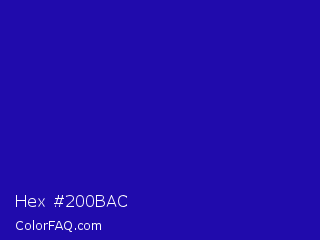 Hex #200bac Color Image