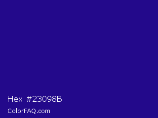 Hex #23098b Color Image
