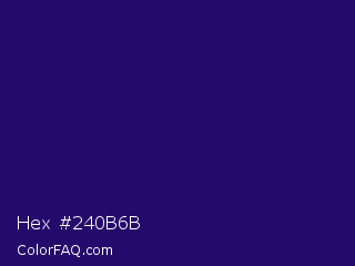 Hex #240b6b Color Image