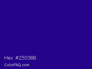 Hex #25038b Color Image