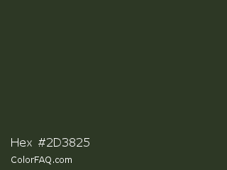 Hex #2d3825 Color Image
