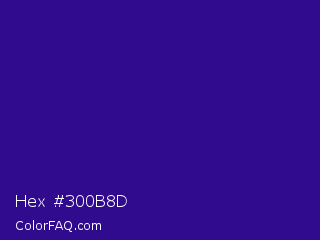 Hex #300b8d Color Image