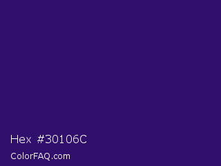 Hex #30106c Color Image
