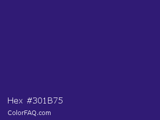 Hex #301b75 Color Image