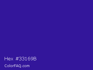 Hex #33169b Color Image