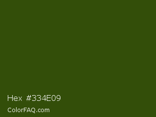 Hex #334e09 Color Image
