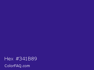 Hex #341b89 Color Image