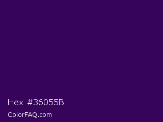 Hex #36055b Color Image