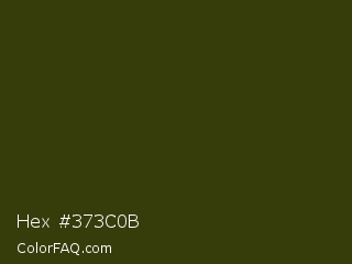Hex #373c0b Color Image
