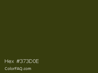 Hex #373d0e Color Image