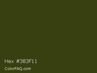 Hex #383f11 Color Image