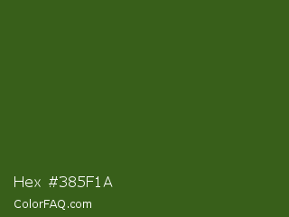 Hex #385f1a Color Image
