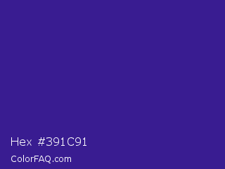 Hex #391c91 Color Image