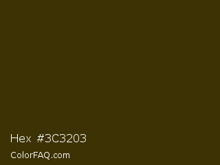 Hex #3c3203 Color Image