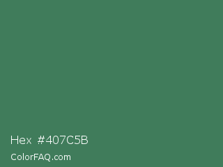 Hex #407c5b Color Image