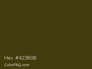 Hex #423b0b Color Image