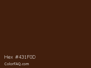Hex #431f0d Color Image