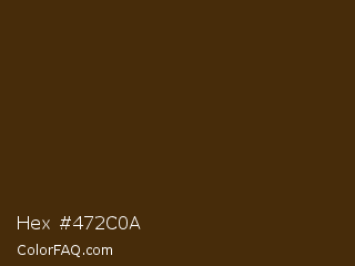 Hex #472c0a Color Image