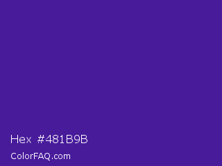 Hex #481b9b Color Image