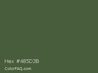 Hex #485d3b Color Image