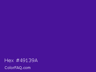 Hex #49139a Color Image