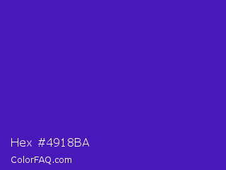 Hex #4918ba Color Image