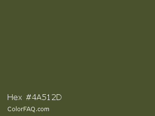 Hex #4a512d Color Image