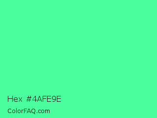 Hex #4afe9e Color Image