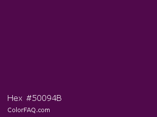Hex #50094b Color Image