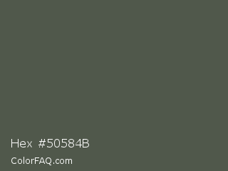 Hex #50584b Color Image