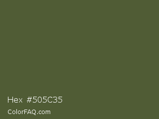 Hex #505c35 Color Image