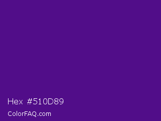Hex #510d89 Color Image