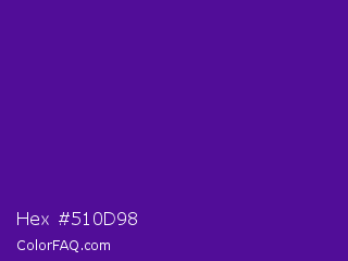 Hex #510d98 Color Image