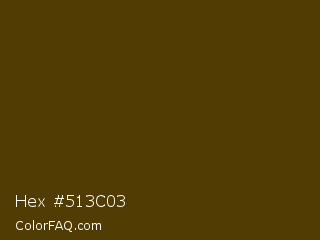 Hex #513c03 Color Image