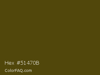Hex #51470b Color Image